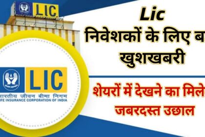 l-i-c-shares-soared-to-the-seventh-sky-investors-became-rich